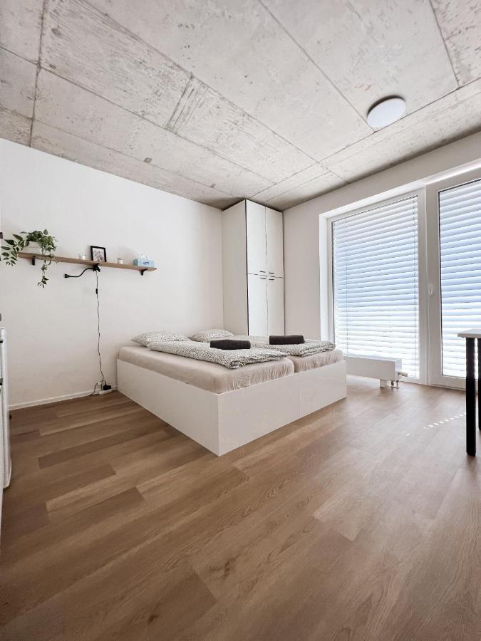 Celestial Apartments 布尔诺 外观 照片